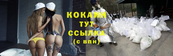 МДПВ Нея