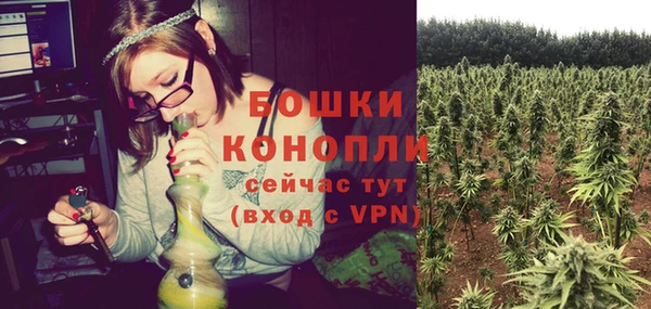 МДПВ Нея