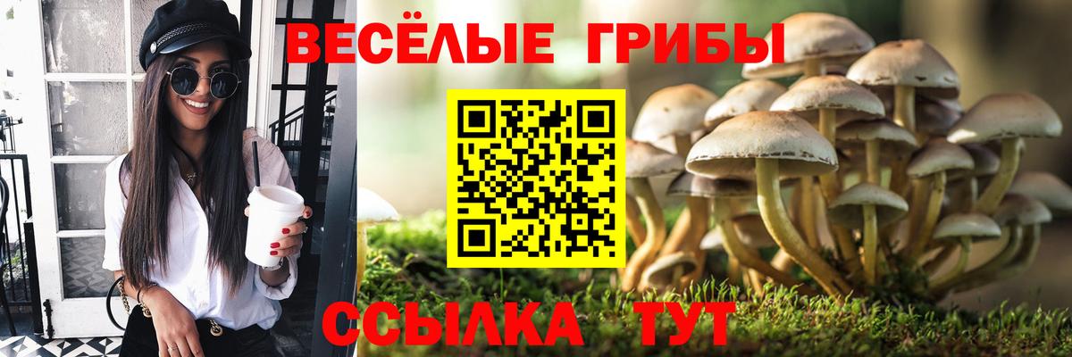 Псилоцибиновые грибы MAGIC MUSHROOMS Мурманск